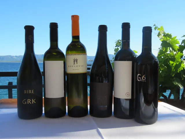 Croatian wines with the Adriatic in the background