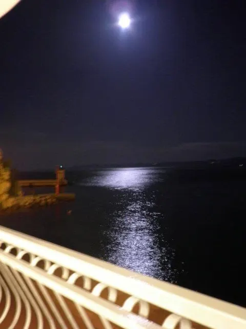 Moonlight over the Adriatic from the restaurant terrace